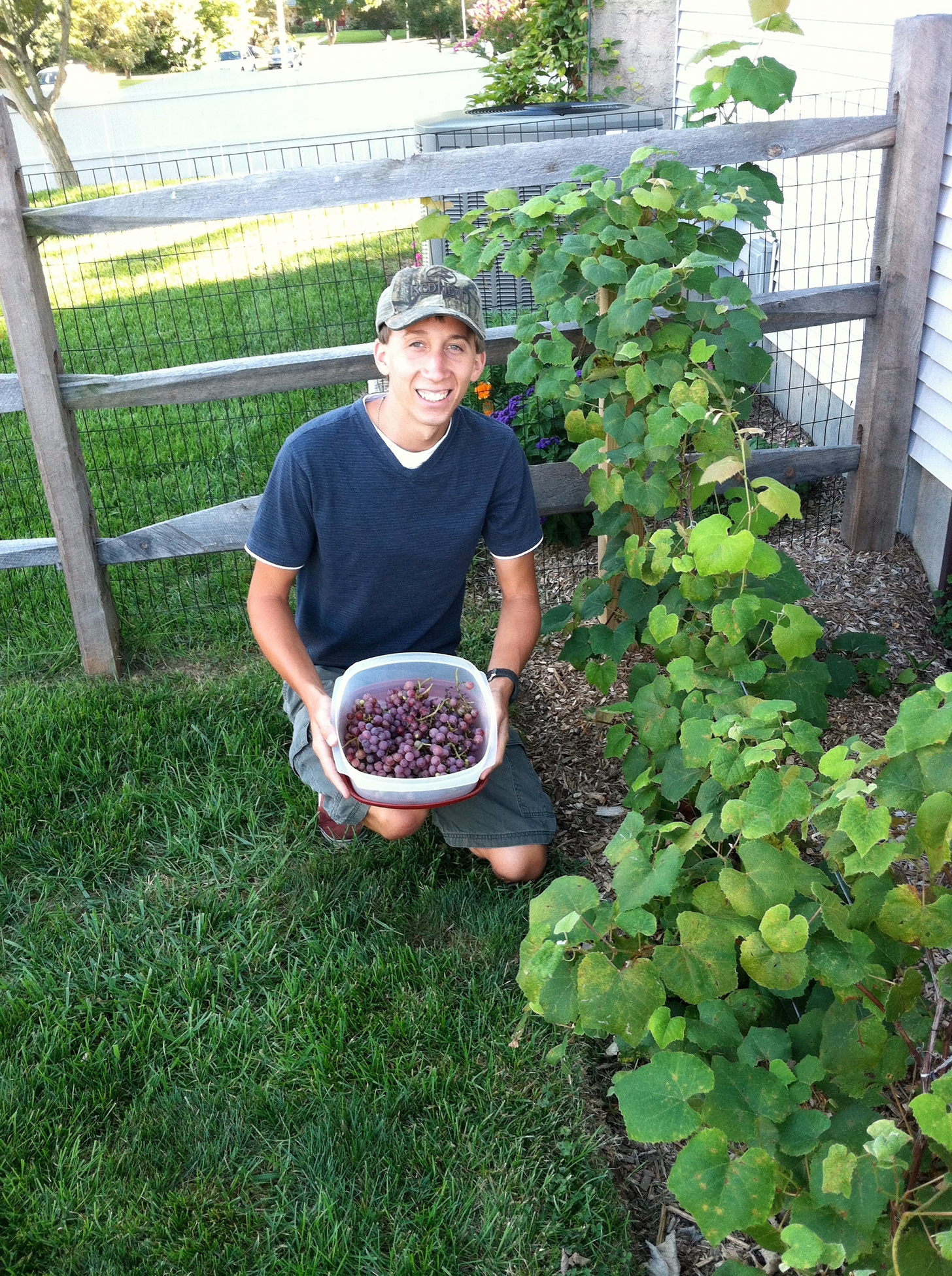 The Vineyard Owner and the very first harvest